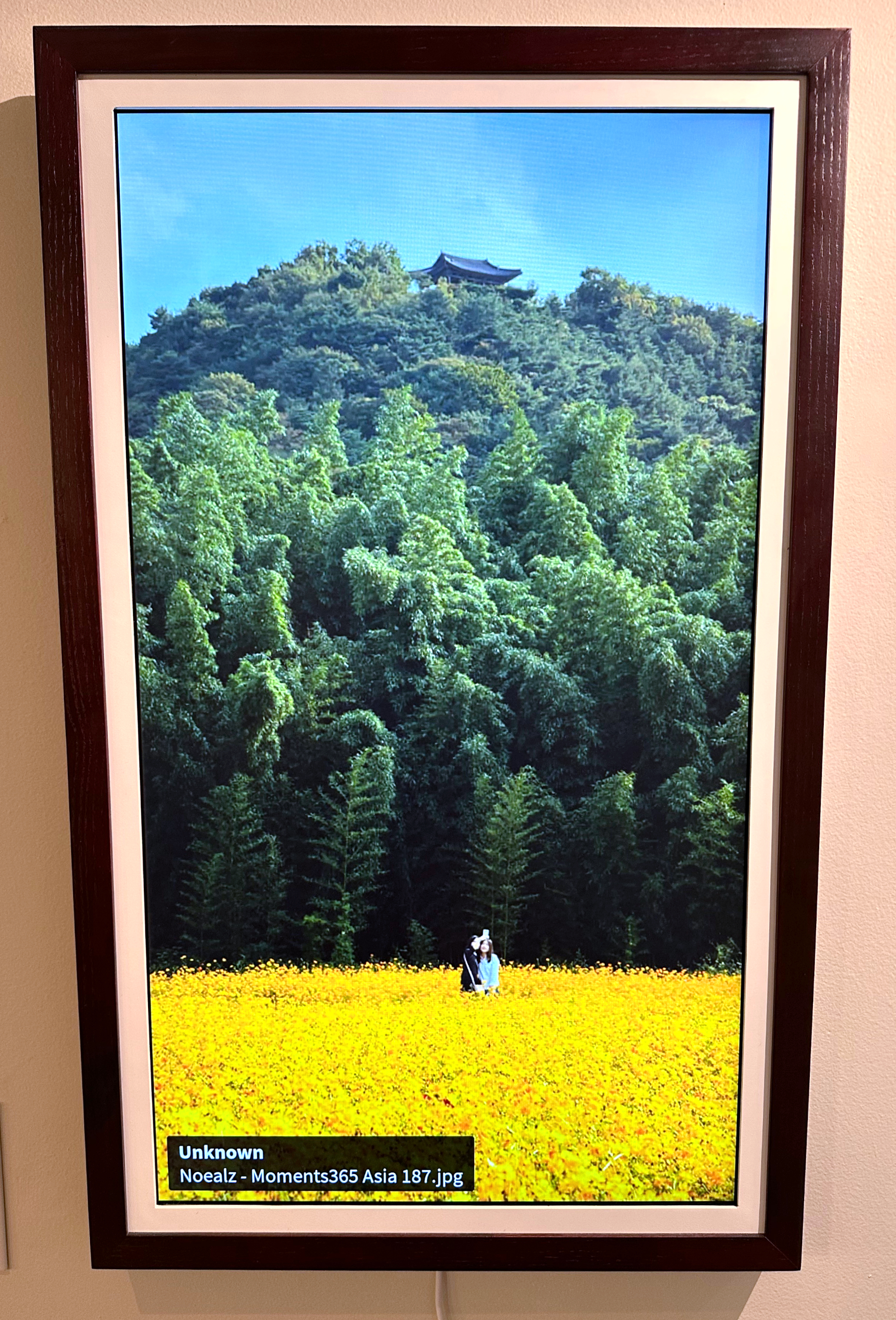 In an artwork on a TokenFrame display, a couple snaps a photo in a yellow field. A structure with an Eastern-style roof is visible on a hill behind them.
